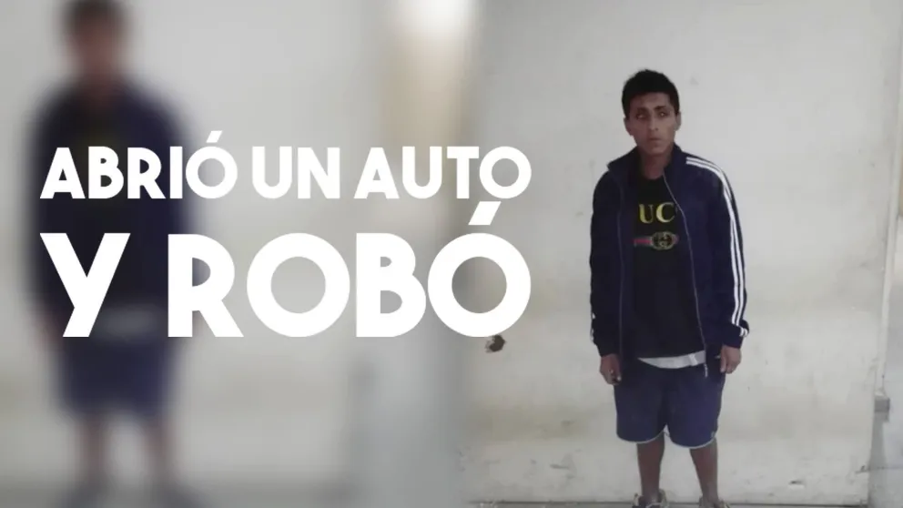 Habían perdido el control de la alarma del auto y un sujeto aprovechó para robarles
