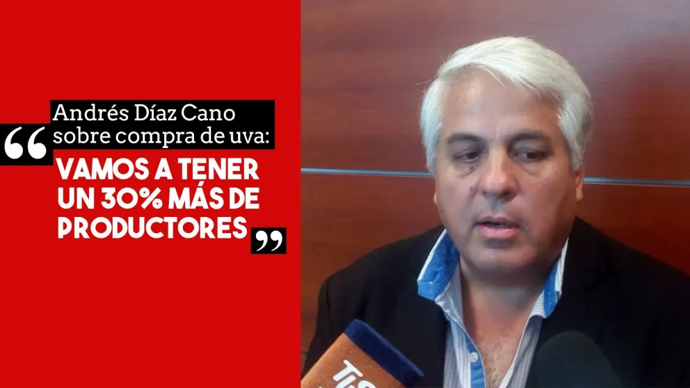 Díaz Cano sobre la compra de la uva: "Vamos a tener un 30% más de productores"