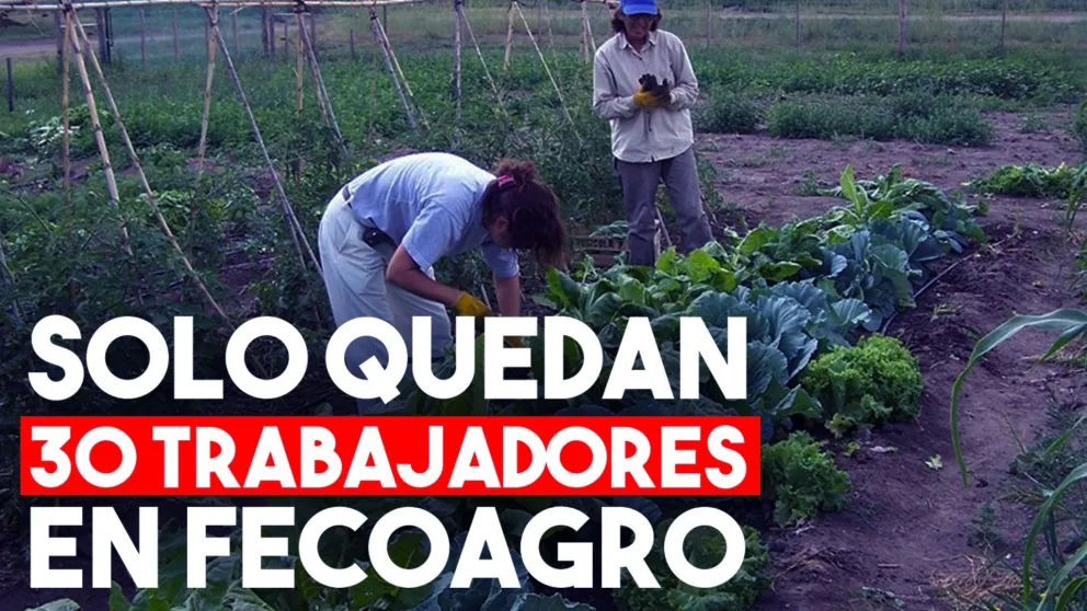 Sólo quedan treinta trabajadores en Fecoagro