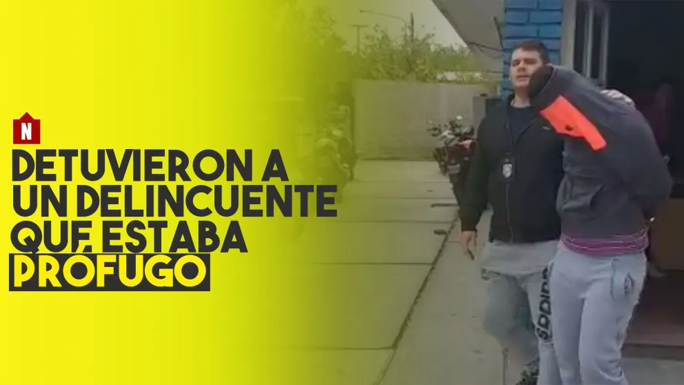 Detuvieron a un delincuente que estaba prófugo