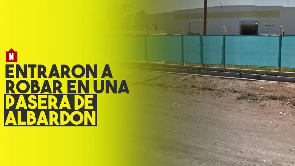 Tres delincuentes entraron a robar en una pasera de Albardón