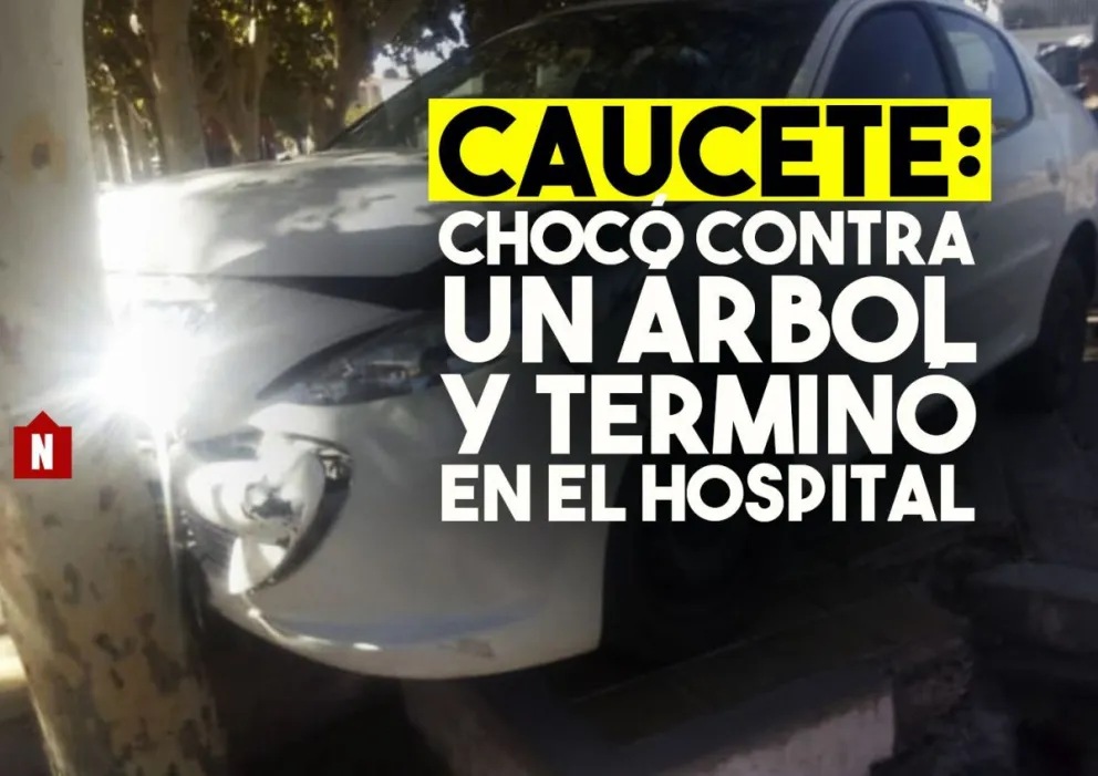 Chocó contra un árbol y terminó en el hospital