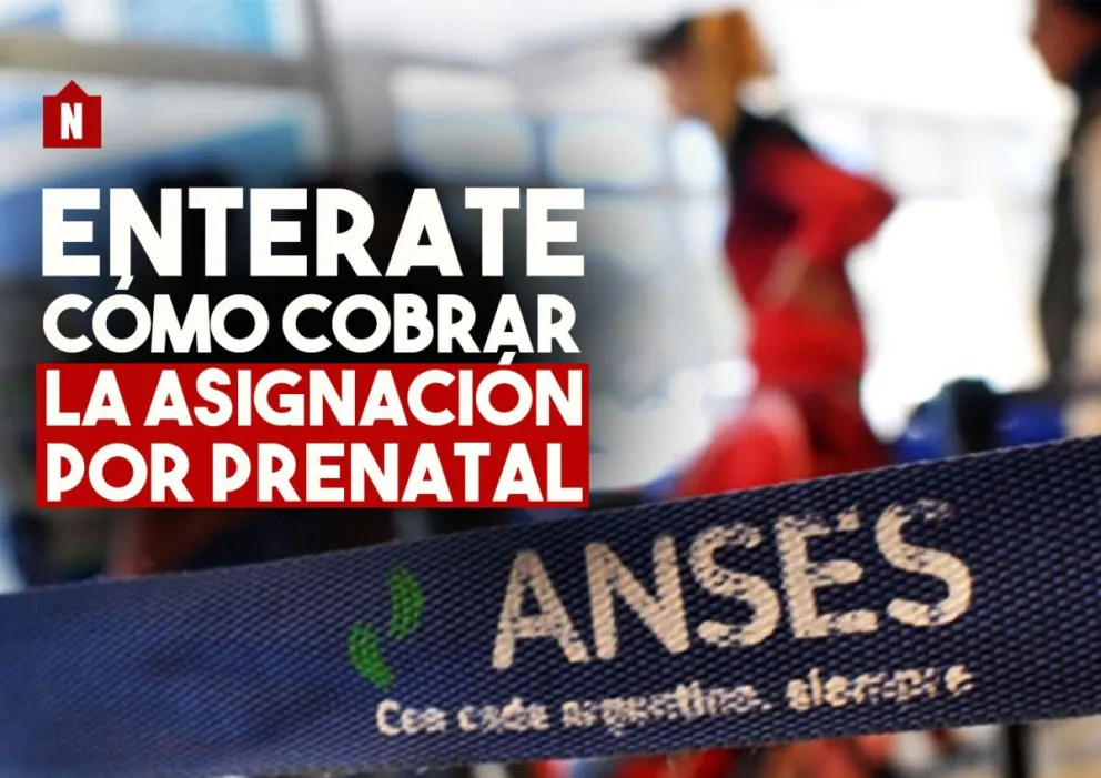 Así es el trámite para cobrar la Asignación Familiar por Prenatal
