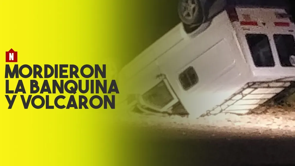 Mordieron la banquina y terminaron volcando