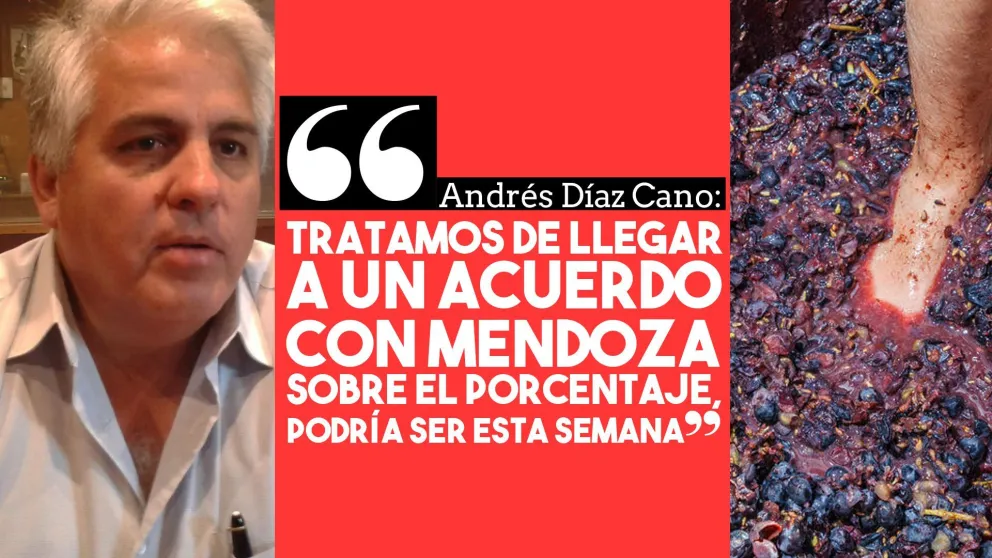 Andrés Díaz Cano: "Tratamos de llegar a un acuerdo con Mendoza sobre el porcentaje. Podría ser esta semana"