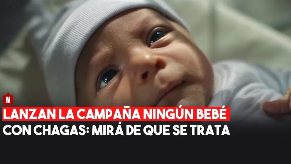 Cada 6 horas nace un bebé con Chagas en el país y lanzan una campaña para evitarlo