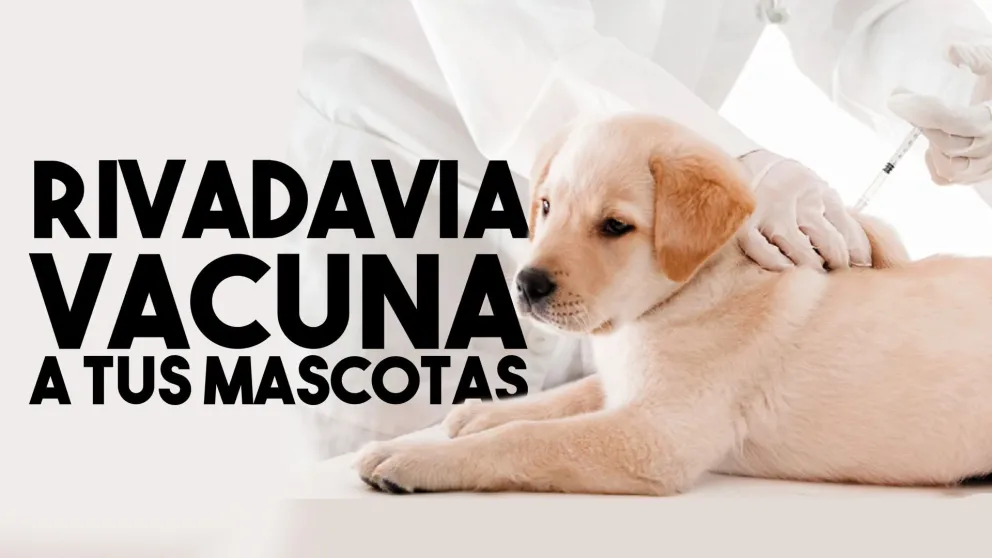 Vacunarán a las mascotas de Rivadavia