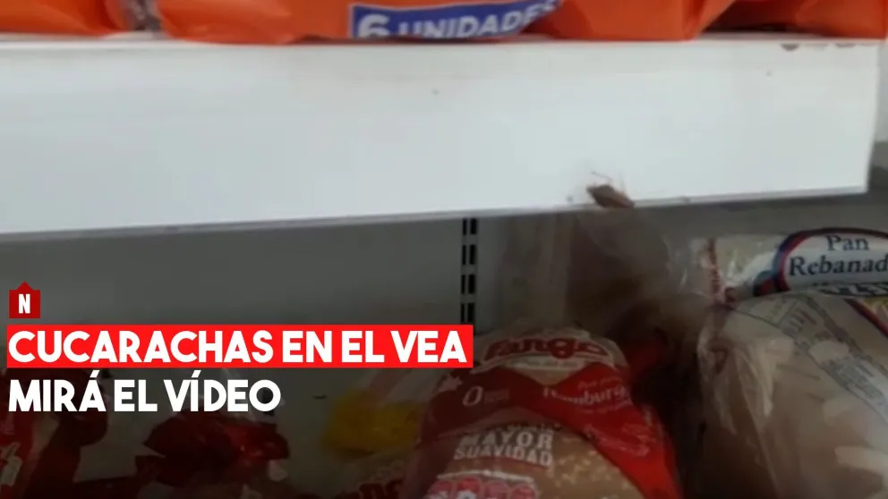 Cucarachas en el Vea de 25 de Mayo y Jujuy