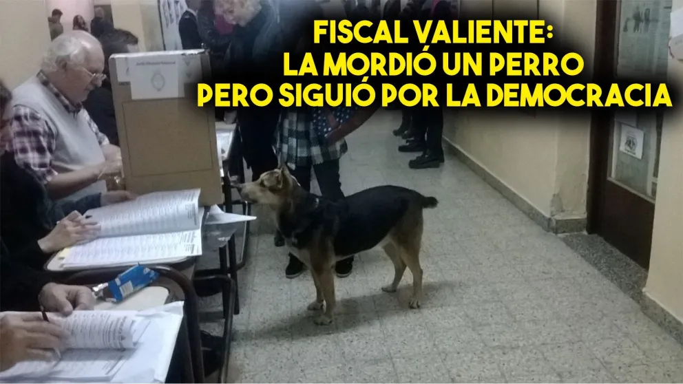 A una fiscal la mordió un perro y no quiso ser atendida