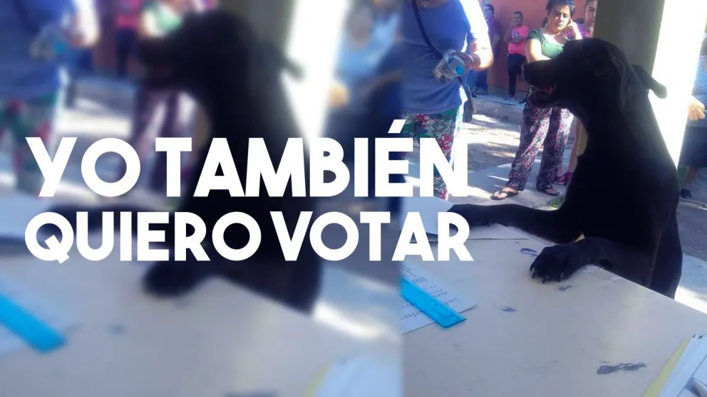 El protagonista de las elecciones