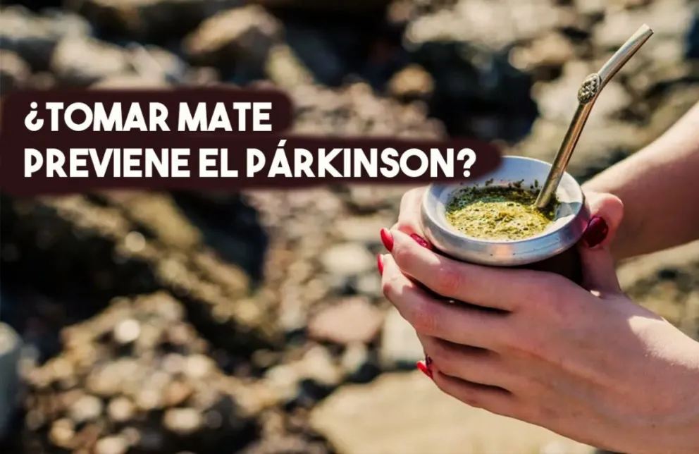 Tomar mate podría prevenir el desarrollo del Parkinson