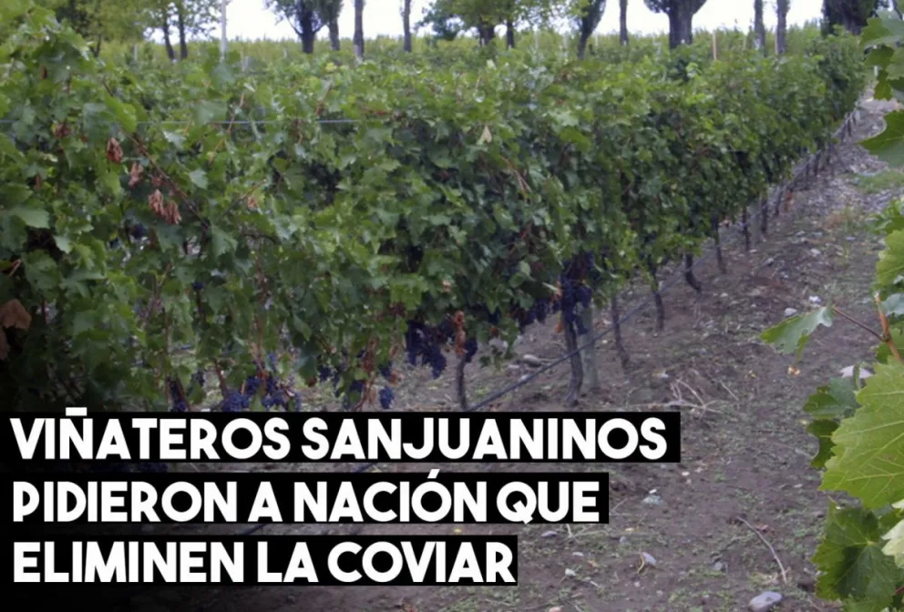 Entidades viñateras solicitan la eliminación de COVIAR