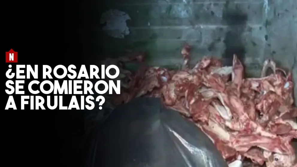 Encontraron 30 perros faenados: investigan si los vendían en carnicerías