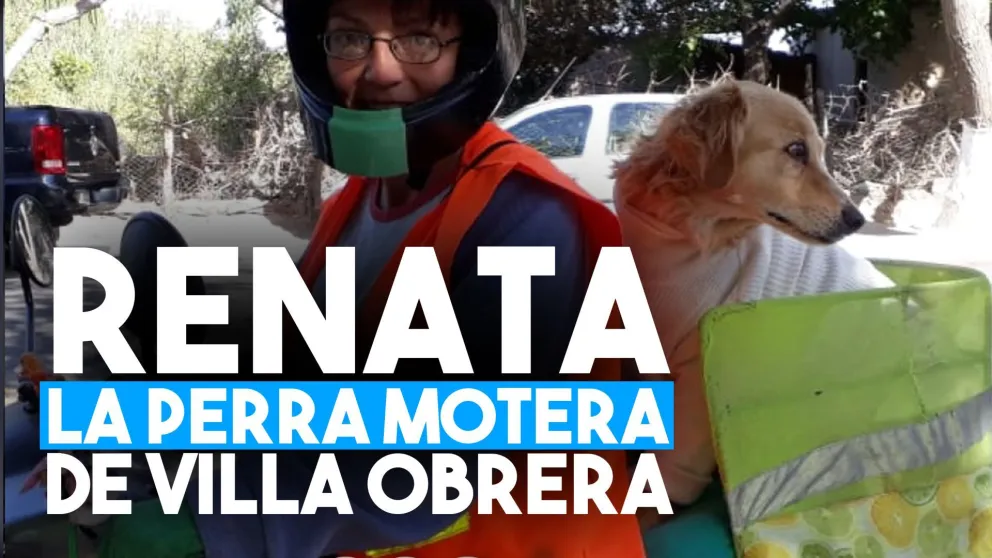 ¿Quién dijo que las motos eran sólo para las personas?