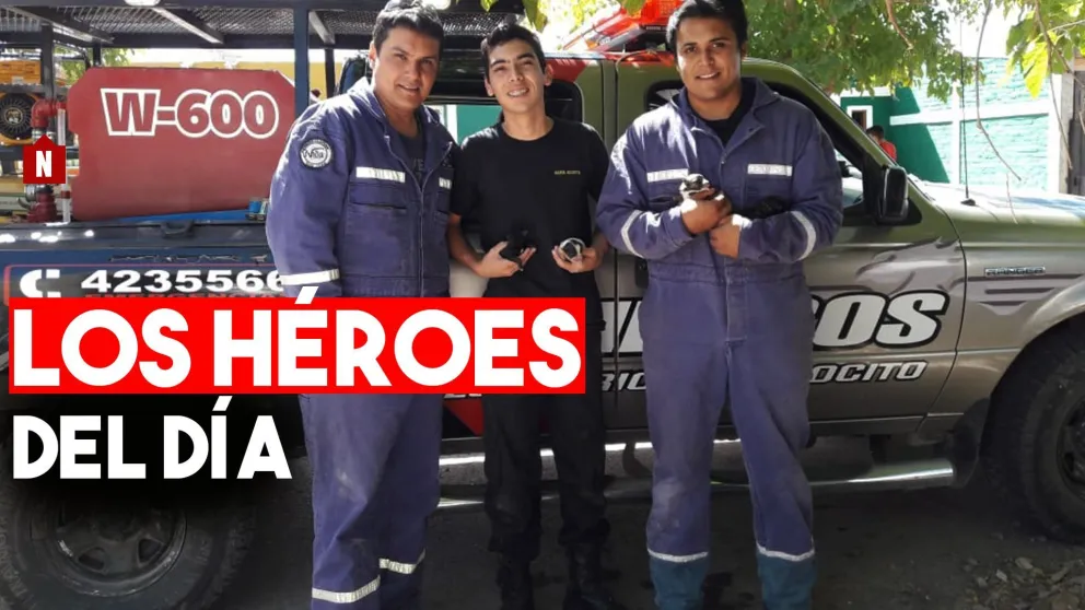 Bomberos rescataron a una perra y sus cachorritos