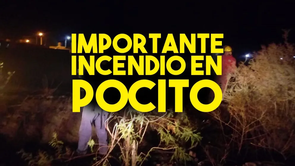 Se incendió un baldío en Pocito