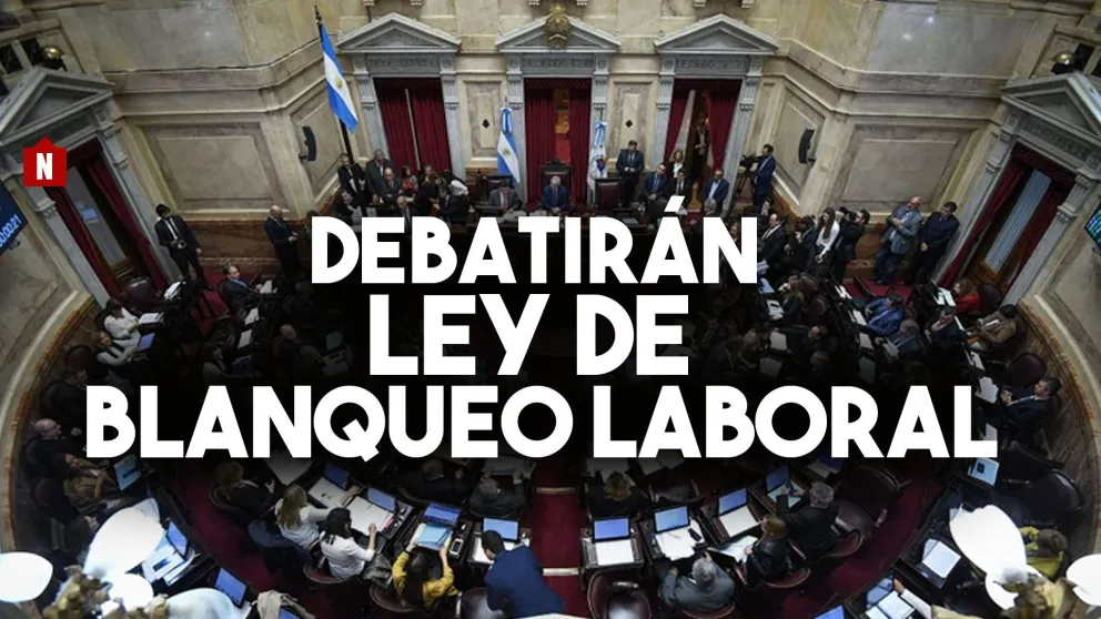 El Senado comienza a debatir la ley de blanqueo laboral