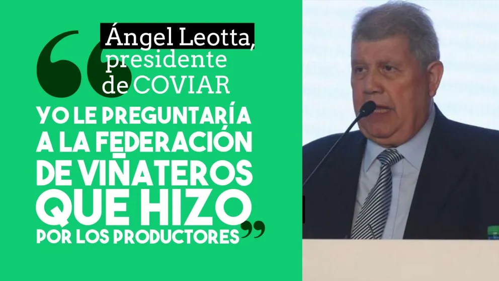 El presidente de la COVIAR le respondió a la Federación de Viñateros