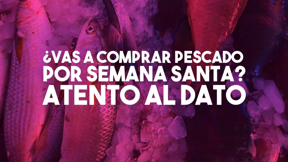 ¿Vas a comprar pescado para Semana Santa? Tené en cuenta las siguientes recomendaciones