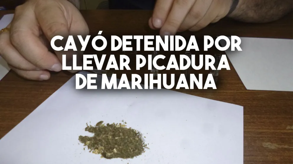 Cayó presa una mujer que llevaba marihuana para armar porros