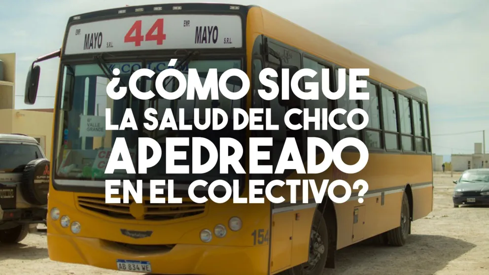 ¿Cómo sigue la salud del chico apedreado en el colectivo?