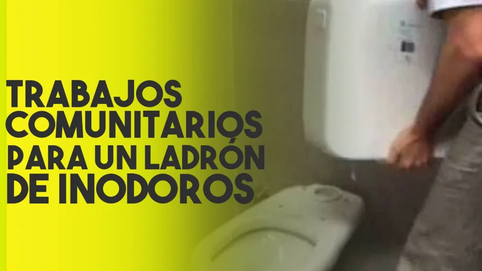 Deberá realizar tareas comunitarias por robar un inodoro