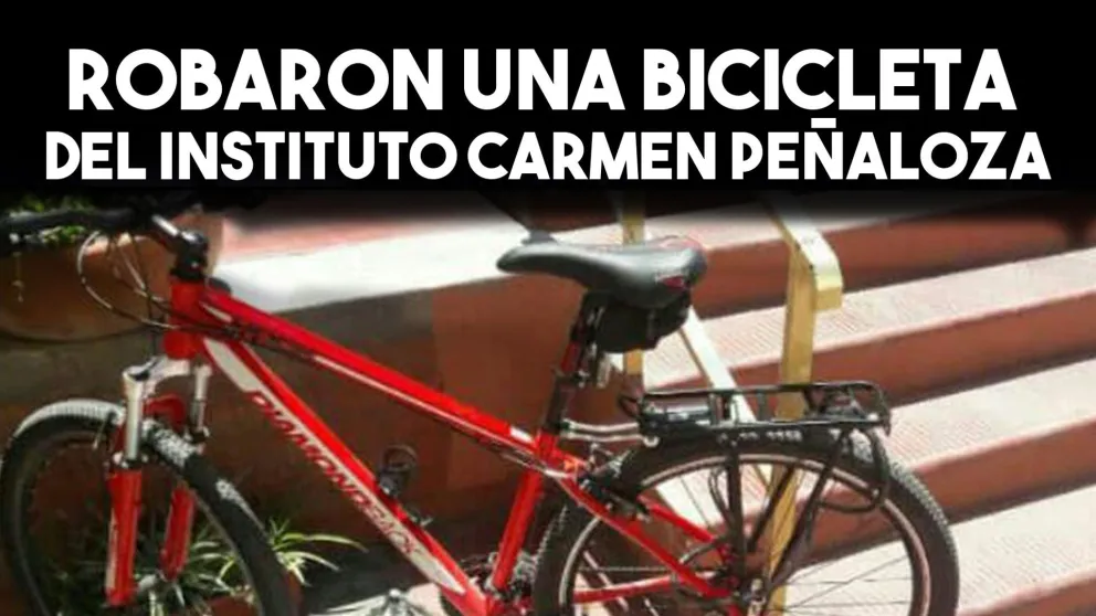 Robaron una bicicleta del Instituto Carmen Peñaloza