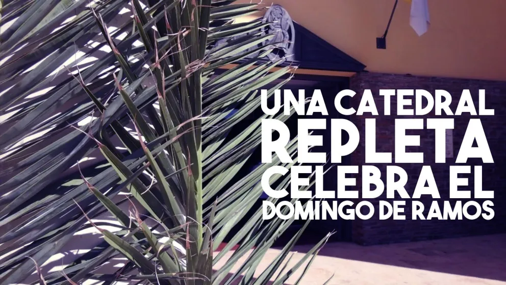 Una Catedral repleta celebra el Domingo de Ramos