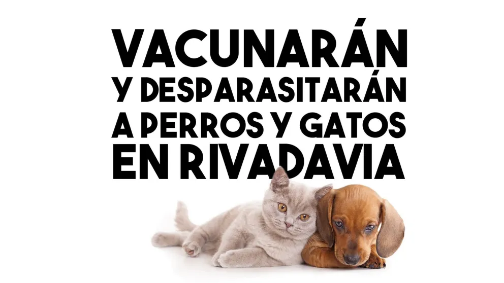 Vacunarán y desparasitarán a perros y gatos en Rivadavia