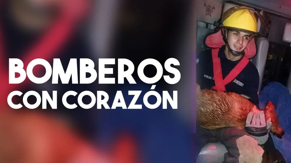 Los bomberos voluntarios de Caucete rescataron a una perrita de un canal