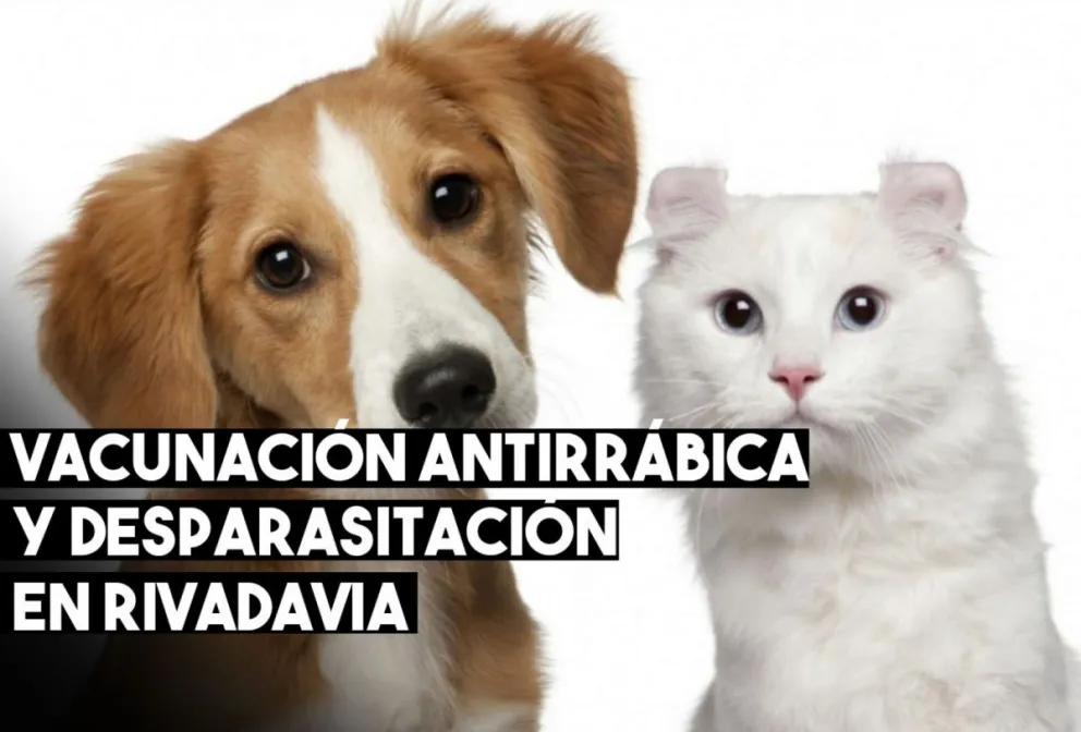 Colocarán la vacuna antirrábica y desparasitarán a perros y gatos en Rivadavia