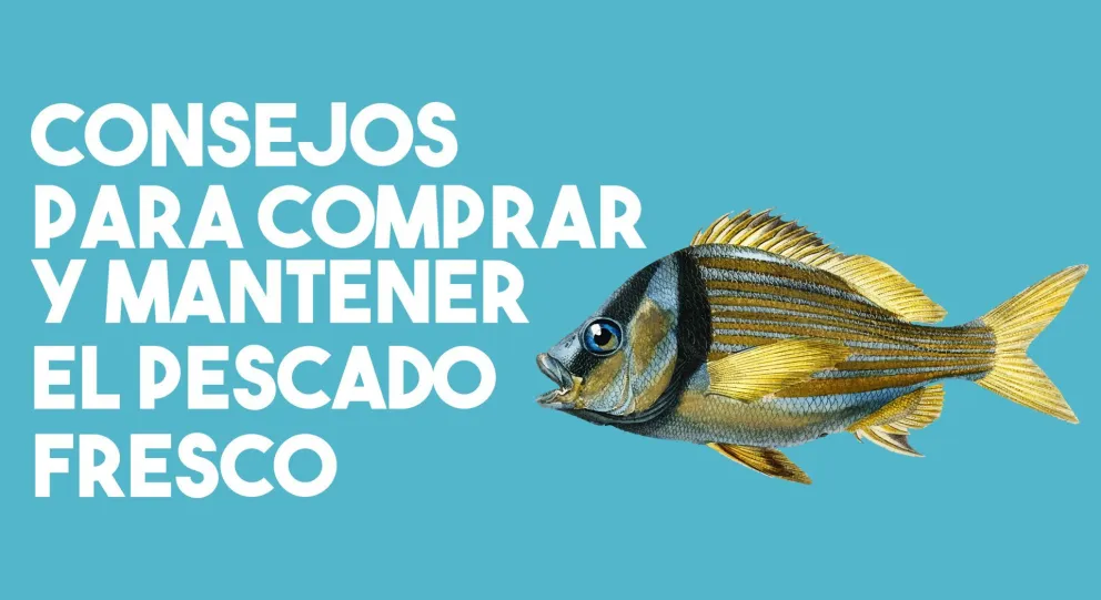 Atención: si comprás pescado tené en cuenta estas recomendaciones