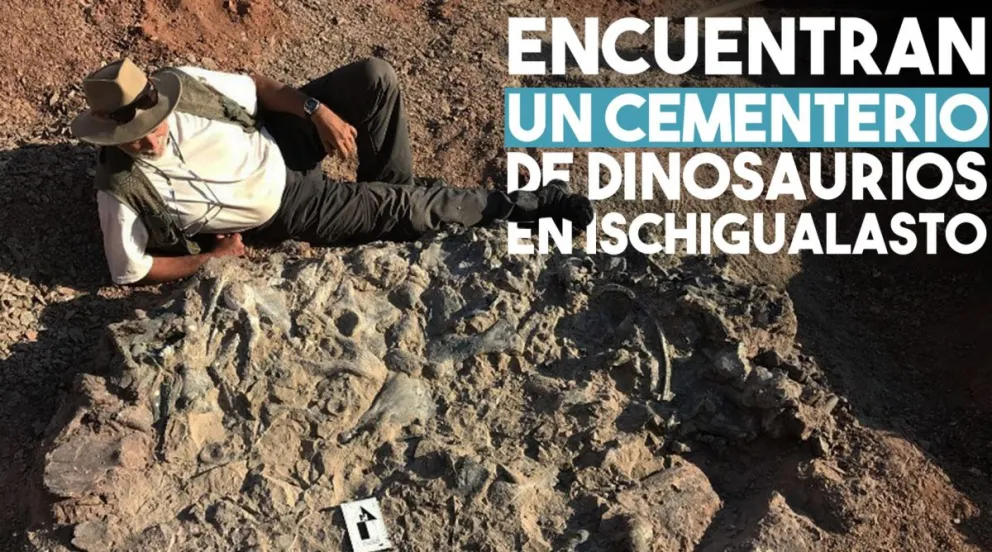 Encuentran un cementerio de dinosaurios en Ischigualasto