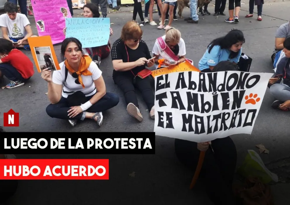 Hubo acuerdo: los perros estarán en resguardo en las comisarias hasta ser dados en adopción