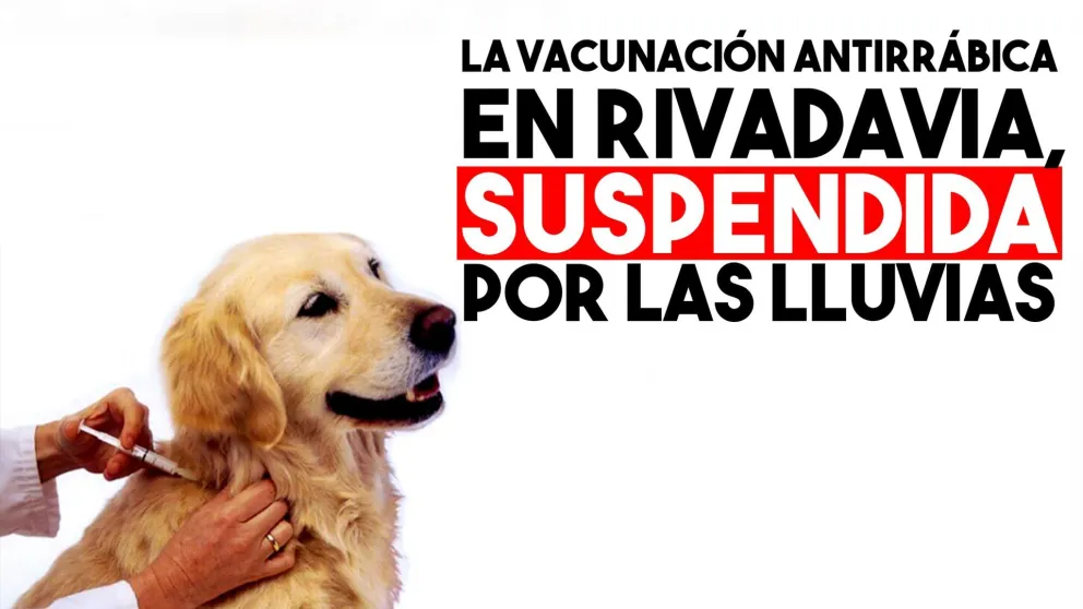 Suspendida la vacunación y desparasitación de mascotas en Rivadavia por la lluvia