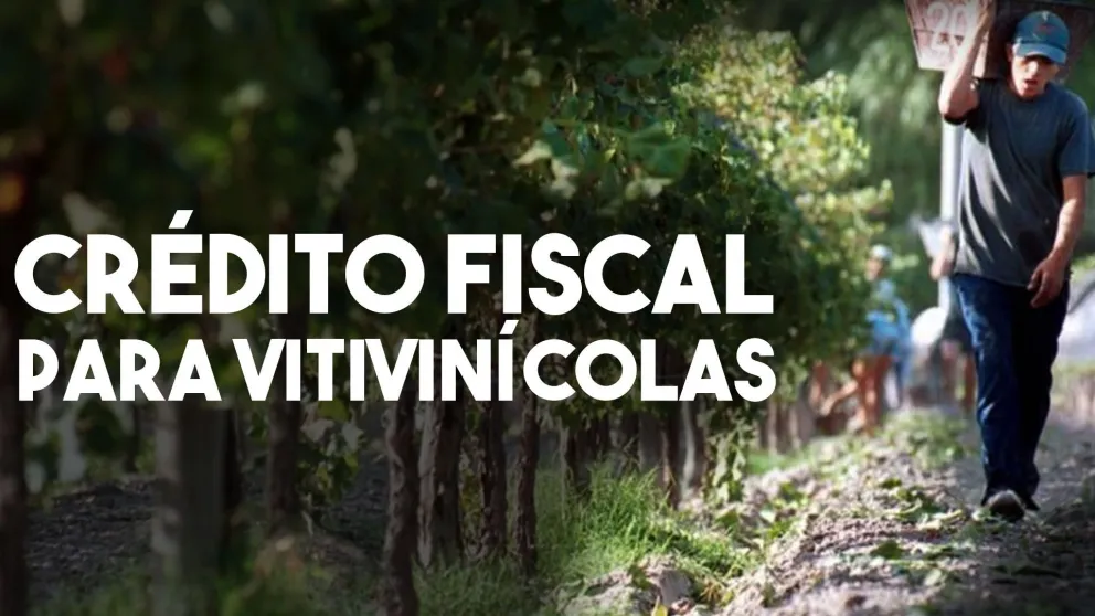 Desde este lunes, productores vitivinícolas pueden solicitar el BONOVIT