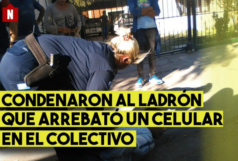 10 meses de prisión para el ladrón que robó en el colectivo