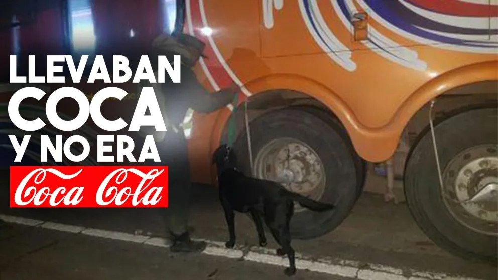 Iban a Mendoza y llevaban hojas de coca