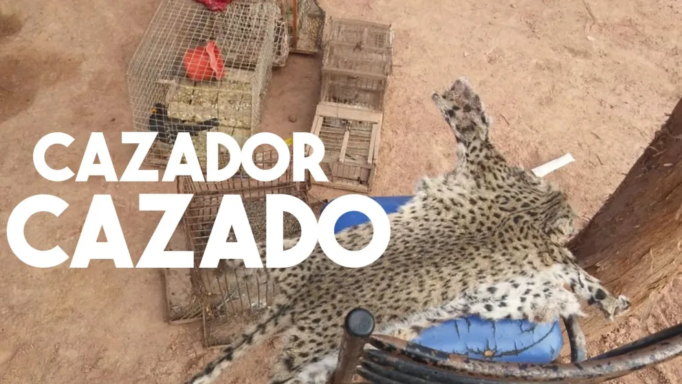 En un allanamiento, rescataron ñandúes, liebres y aves