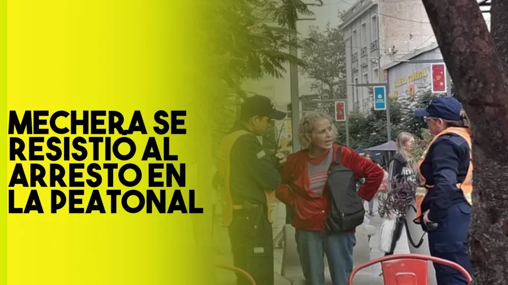 Robo, persecución y resistencia al arresto en la peatonal