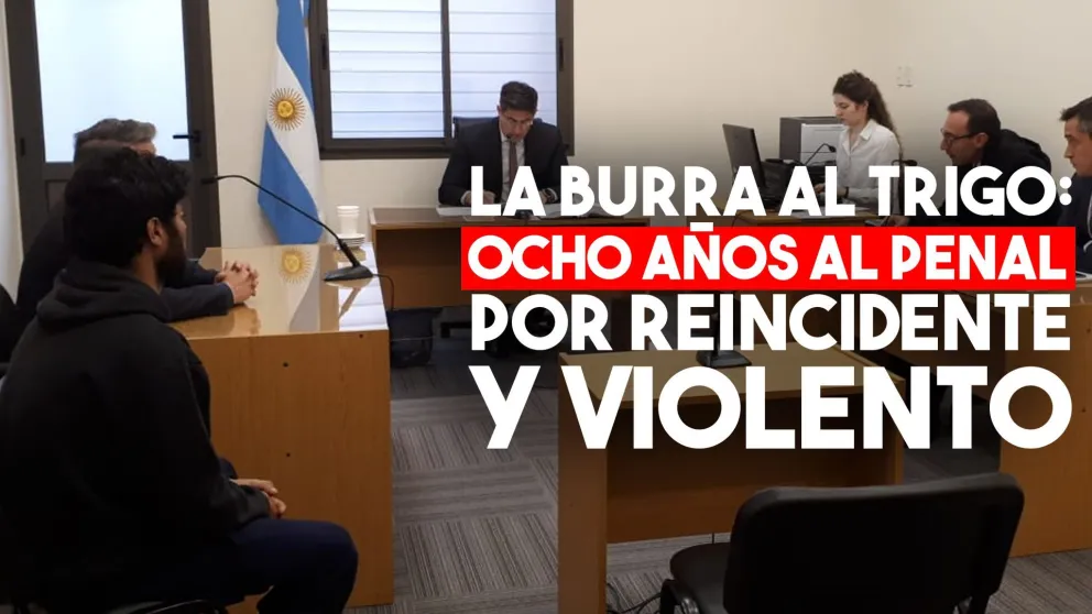 La burra al trigo: ocho años al Penal por reincidente