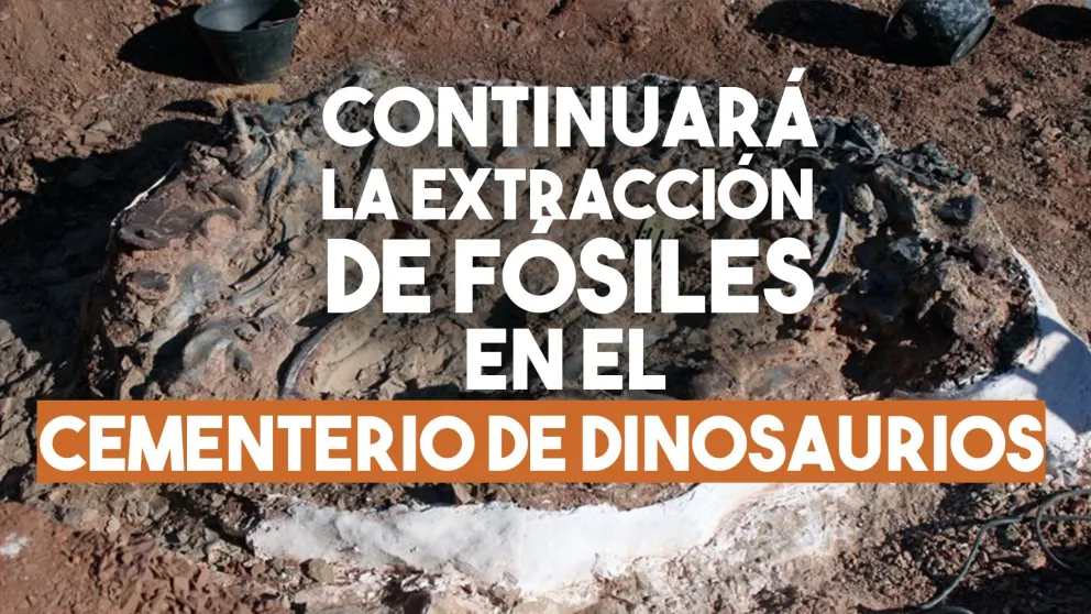 El Gobierno subsidiará la extracción de fósiles de dinosaurios en Ischigualasto