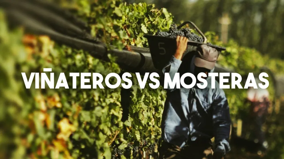 Por el precio del mosto, viñateros denunciarán a mosteras