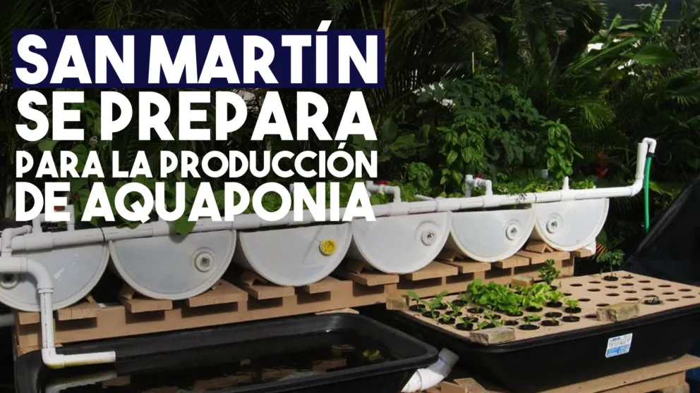 San Martín se prepara para el desarrollo de Aquaponia