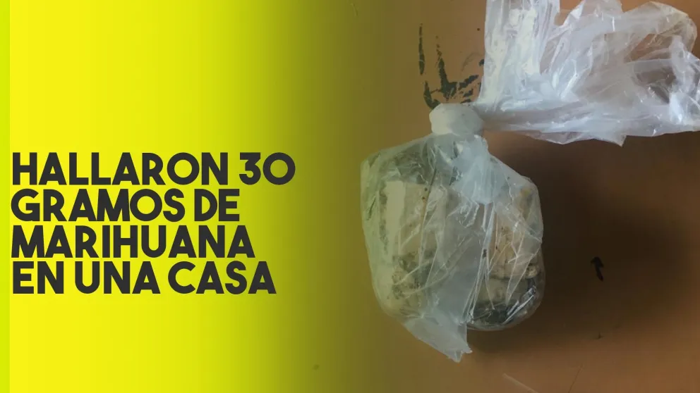 Una mujer detenida por tener droga en su casa