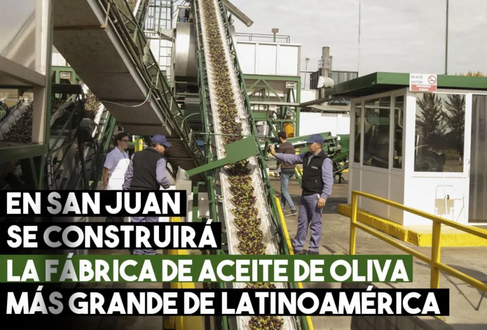 Invertirán 14 millones de dólares para la construcción de la futura fábrica de aceite de oliva