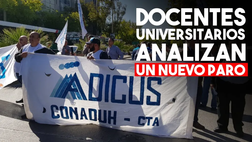 Los docentes universitarios analizan parar la próxima semana