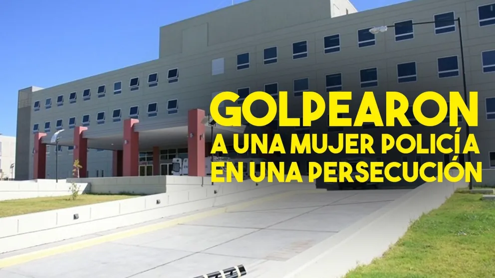 Una mujer policía embarazada recibió golpes en una persecusión