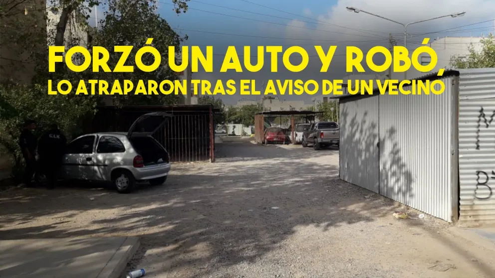 Forzó un auto y robó, pero un vecino llamó a la policía