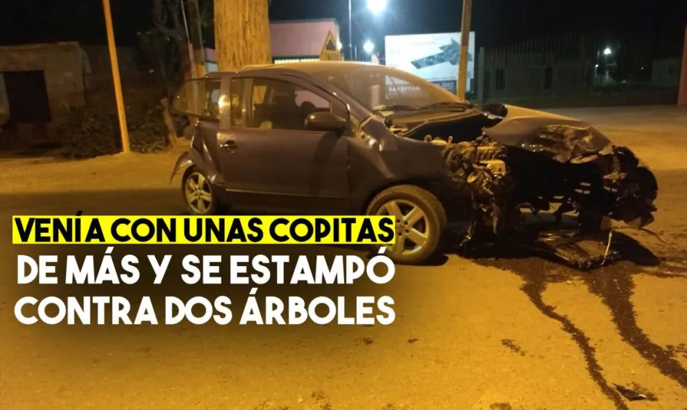 Conducía alcoholizado y se estrelló contra dos árboles